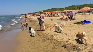Spiaggia Dog Beach